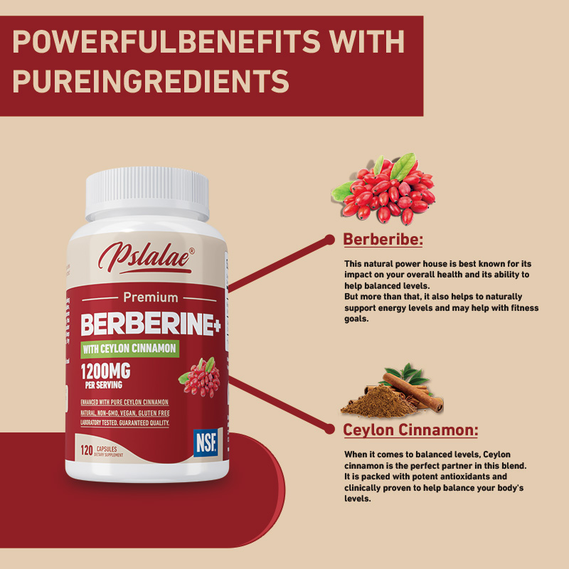 Berberine - Antioxidant, onder - Berberine Hcl Capsule recensie en prijs
